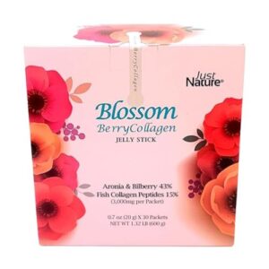 [JUST NATURE] Blossom BerryCollagen Berry Fruit Jelly 30ea