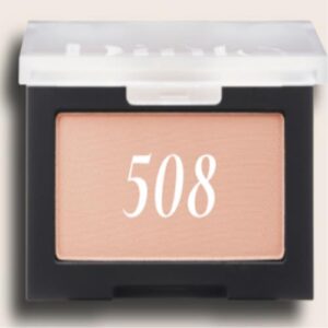 [Dinto] Blur-Finish All That Moment Blusher 508 Little Alcott