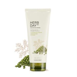 [THEFACESHOP] Herbday 365 cleansing foam Mungbeans&Mugwort