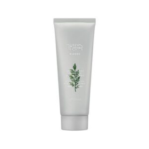[Missha] Artemisia Pack Foam Cleanser 150ml