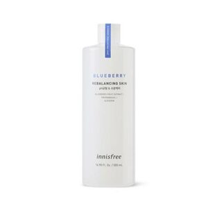 [Innisfree] Blueberry Rebalancing Skin 500ml 2022