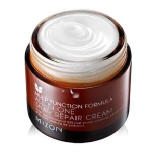 [Mizon] All In One Snail Repair Cream 75ml (Skin Regeneration , Anti-Wrinkle, Elastic)
