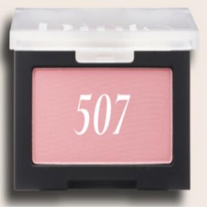 [Dinto] Blur-Finish All That Moment Blusher 507 Dear Salome