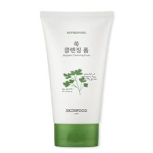 [Skinfood] Vege Garden cleansing foam MUGWORT 150ml