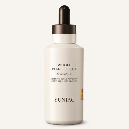 [YUNJAC] WHOLE PLANT EFFECT CONCENTRATE 75ml